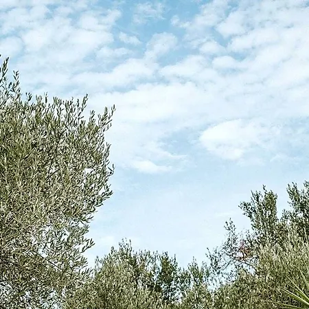 Tenuta La Cornula 4* San Donato di Lecce
