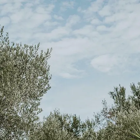 Tenuta La Cornula